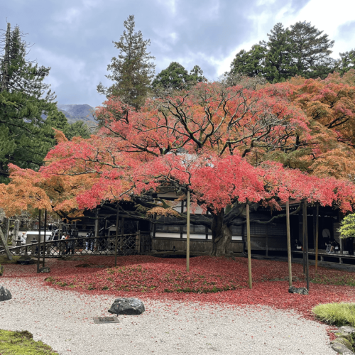 雷山千如寺大悲王院