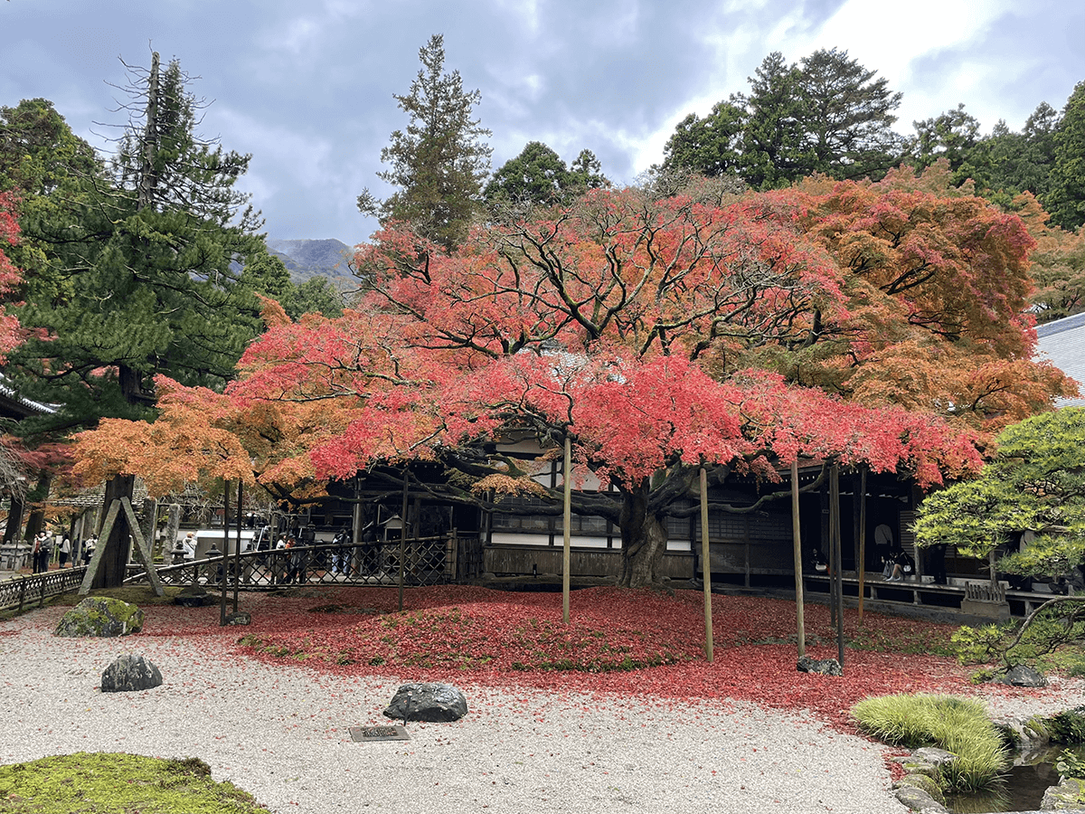 雷山千如寺大悲王院