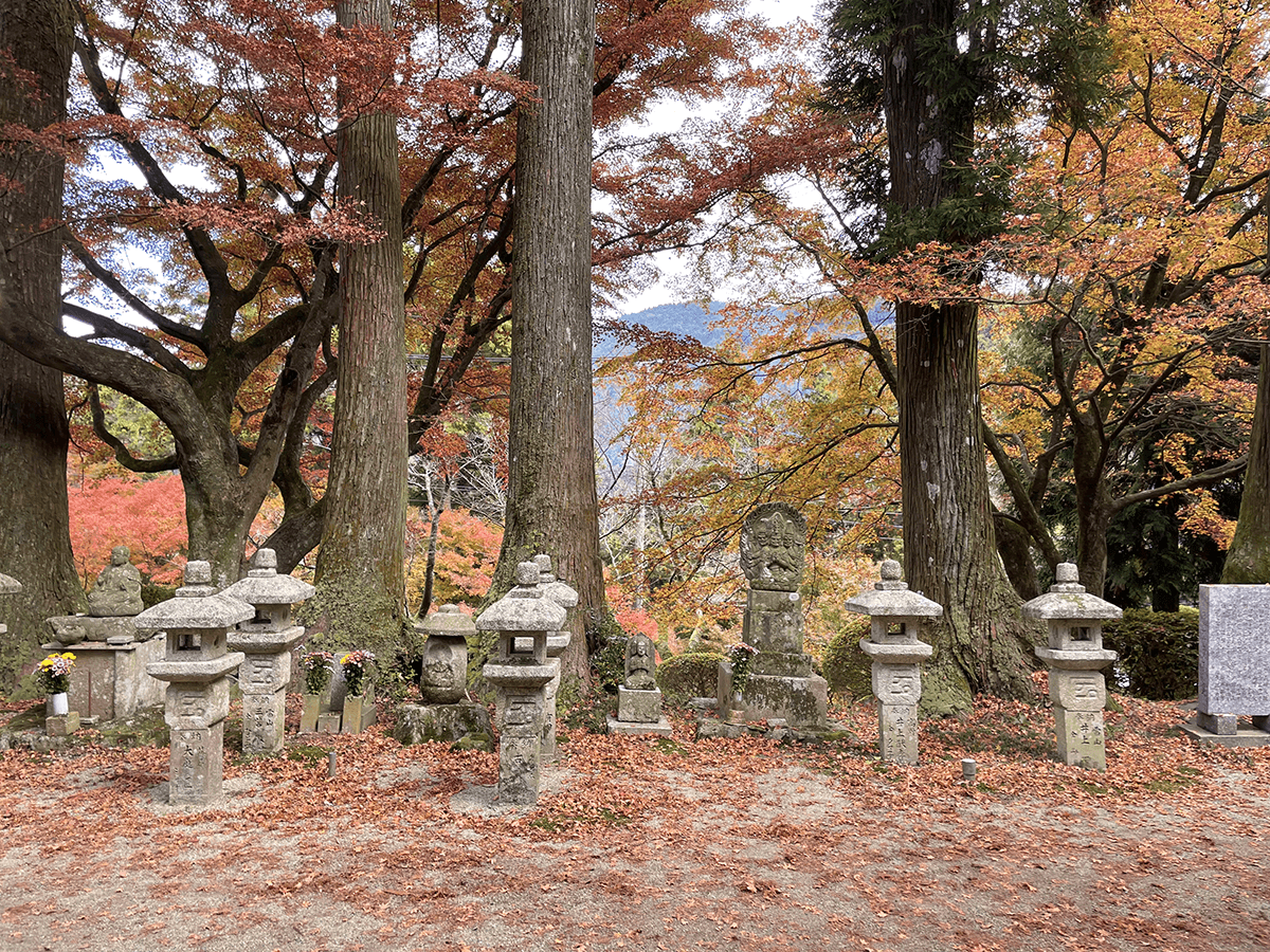 雷山千如寺大悲王院