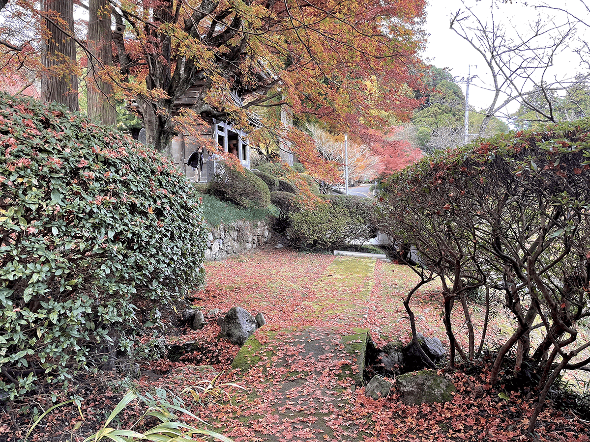 雷山千如寺大悲王院