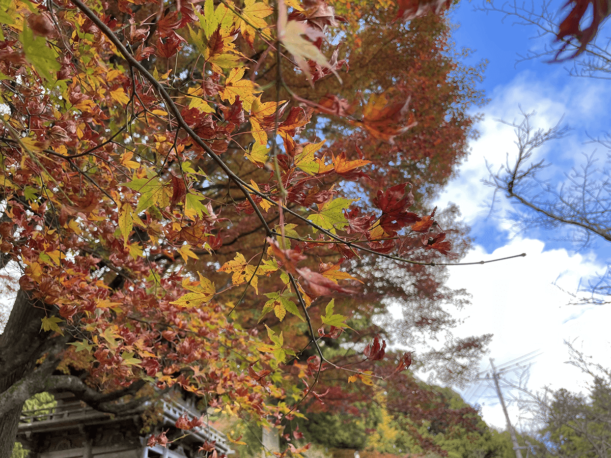 雷山千如寺大悲王院