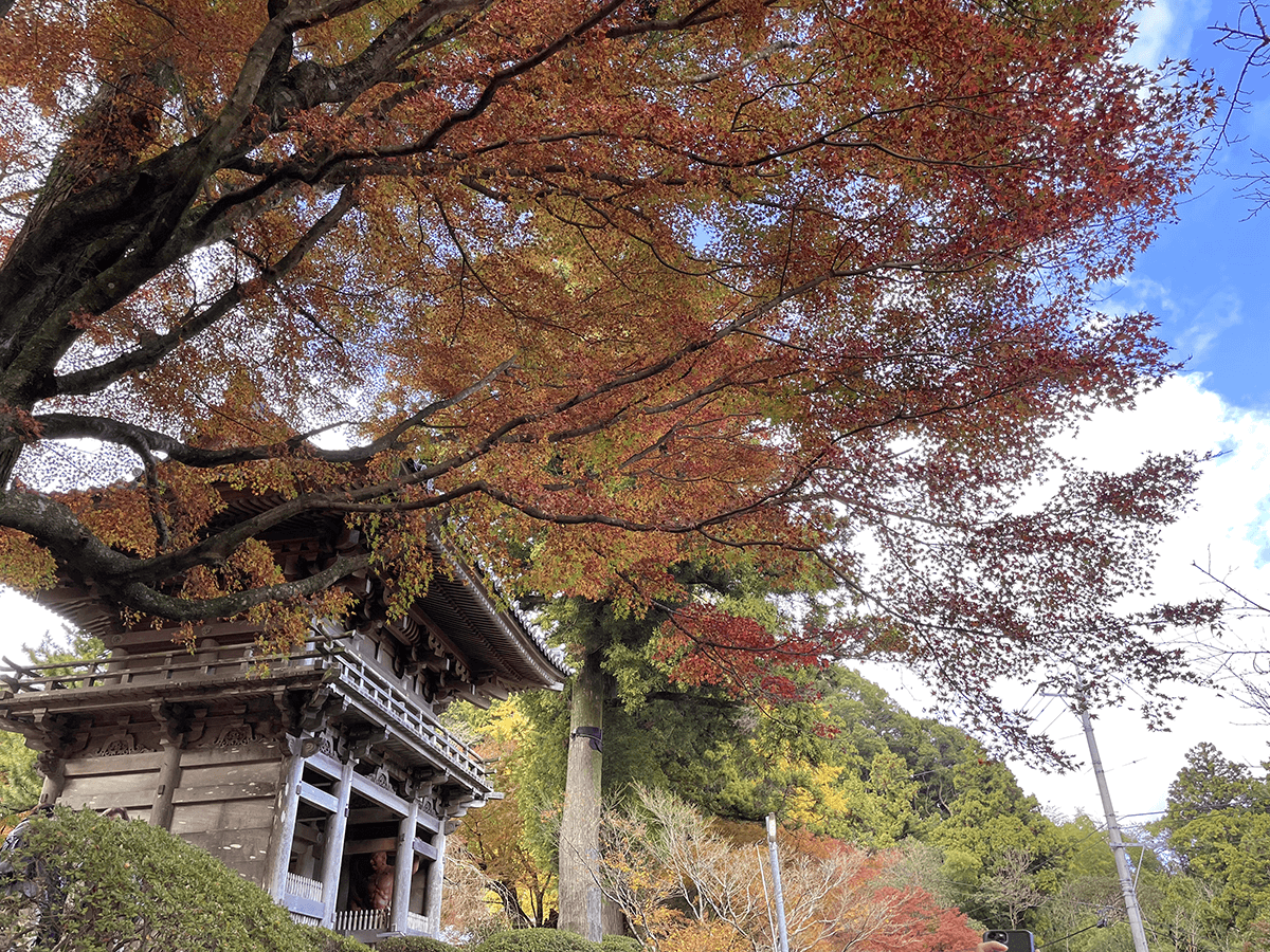 雷山千如寺大悲王院