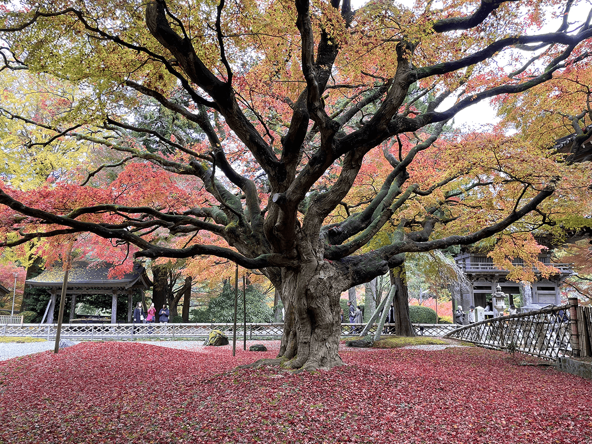 雷山千如寺大悲王院