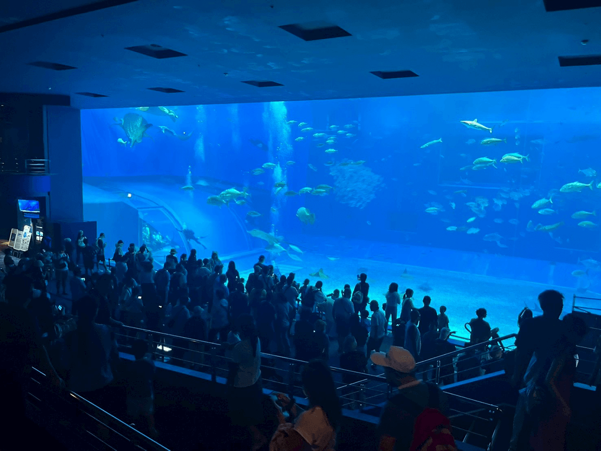 美ら海水族館