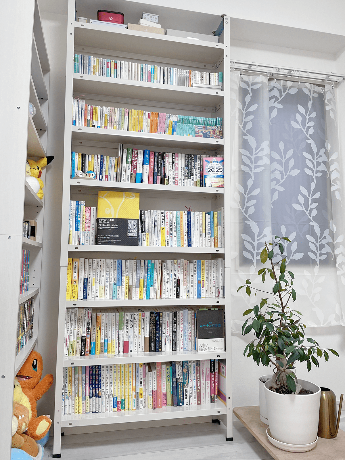 突っ張りスチール本棚