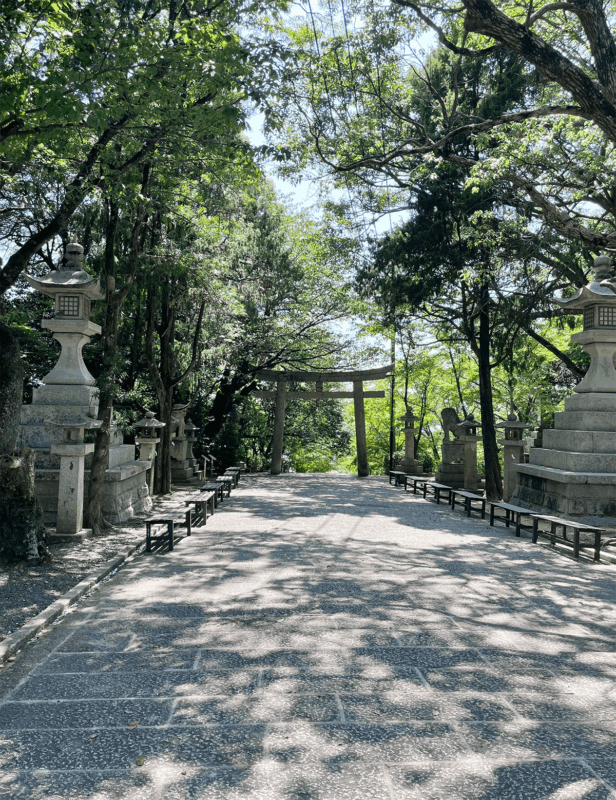 琴崎八幡宮 風鈴祭り